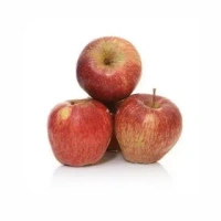 Apple Shimla(Seb)