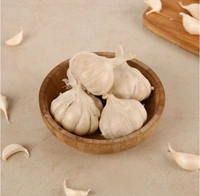 Garlic (Lahsun) 100 g - 100 gram
