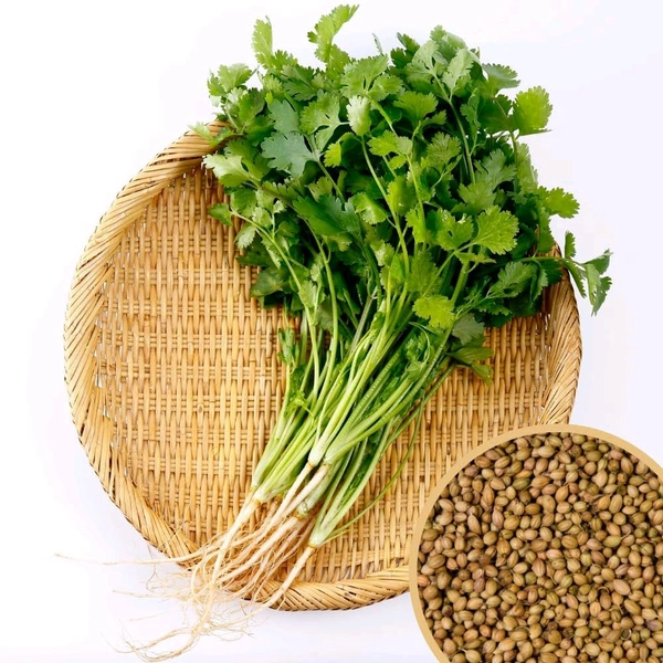 Fresh Coriander Leaves (Dhaniya) 1 Bunch (100g)
