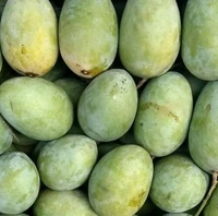 Fresh & Juicy Malda Aam ( 1 Piece)