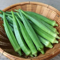 Fresh Bhindi (Lady Finger 250g)