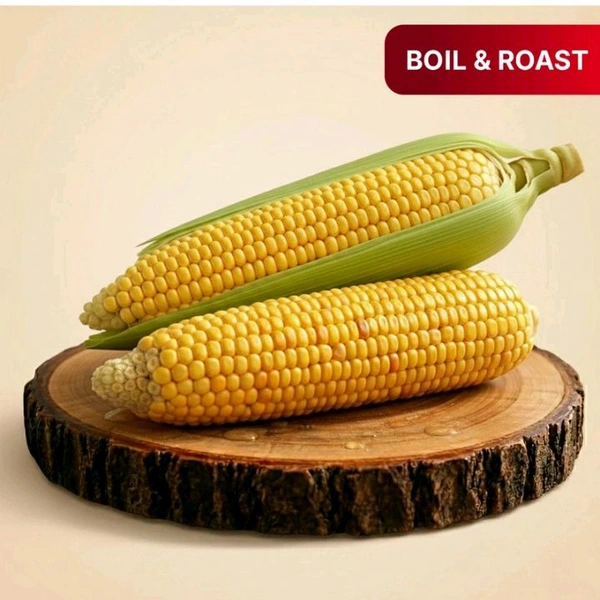 Sweet Corn 2pic 
