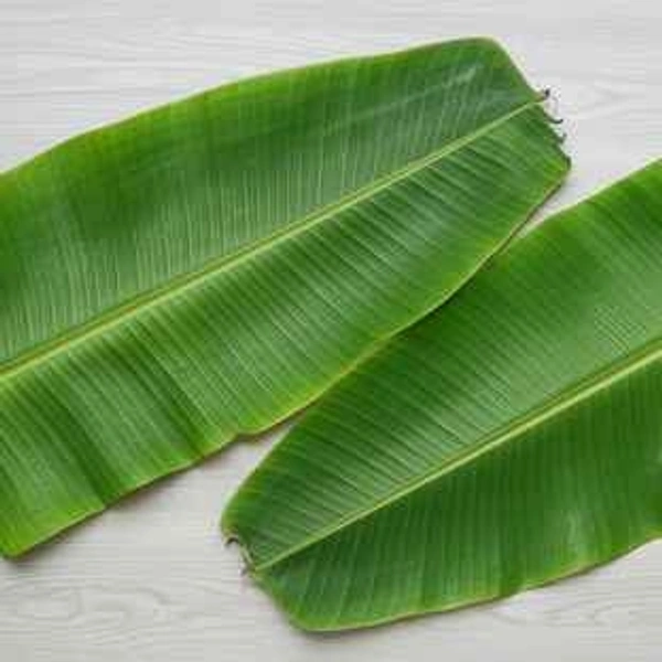 Banana Leaf