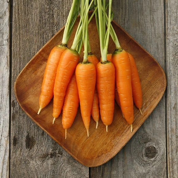 Fresh Carrots
