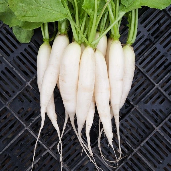 Radish, 250g