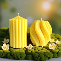 Scented Candles (Pillar & twisted Candle) - Set Of 2 - Midnight Jasmine