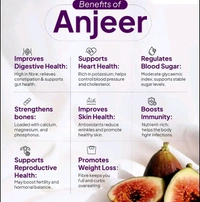 Anjeer A Fruit Of Fig Tree Single Piece
