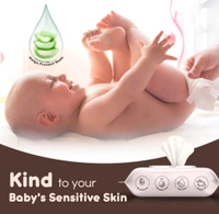 Hushabye Premium Soft Baby Wipes with Aloe Vera,Rash-Free(72 Wipes Each Pack,Pack of 1)