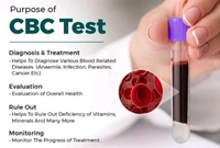 Complete Blood Count (CBC Test)