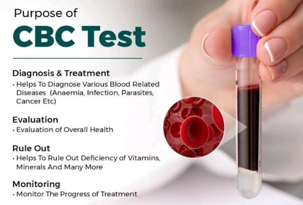 Complete Blood Count (CBC Test)