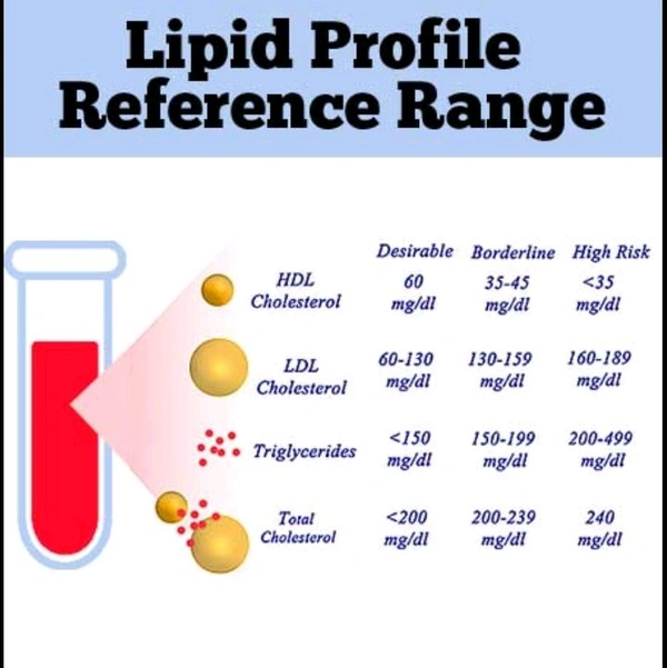 Lipid Profile Test ( Cholesterol)