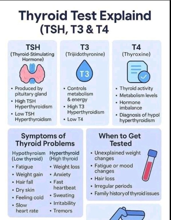 Thyroid Profit ( T3,T4,TSH) Test
