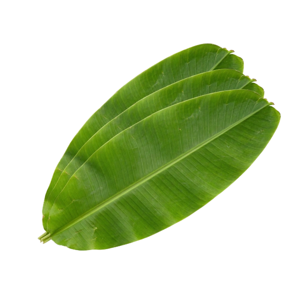 Banana Leaves