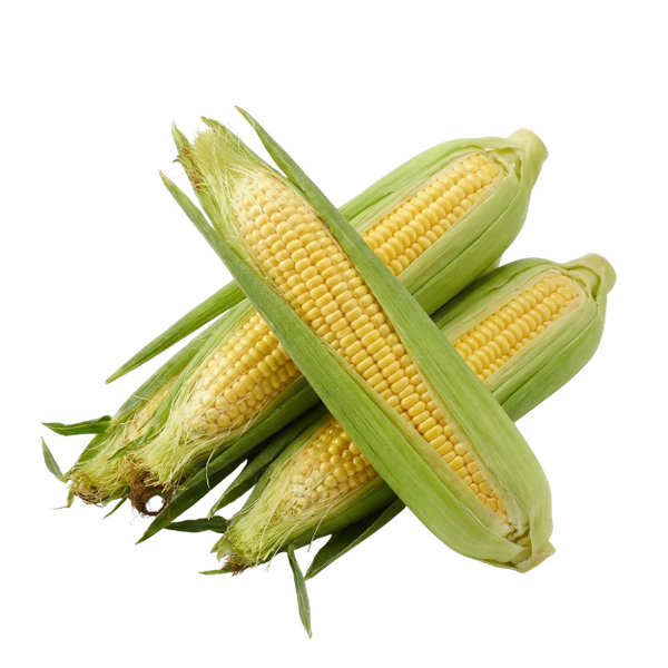 Sweet Corn