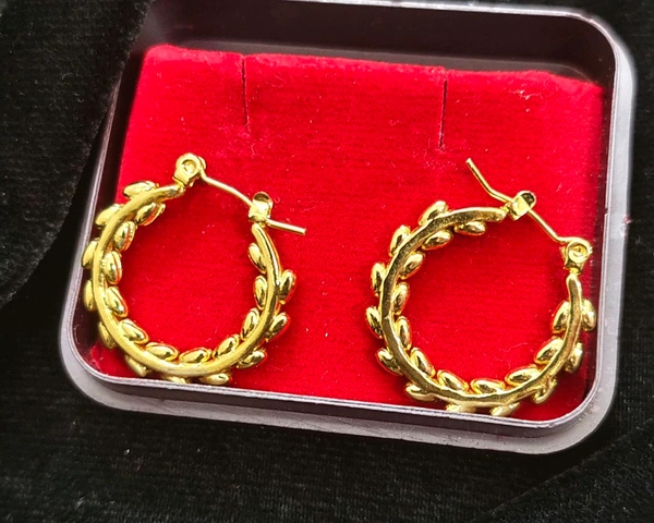 Big Ring Earrings