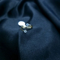 Stainless Steel Ring