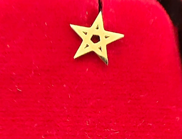 Stainless Steel Star Stud For Men