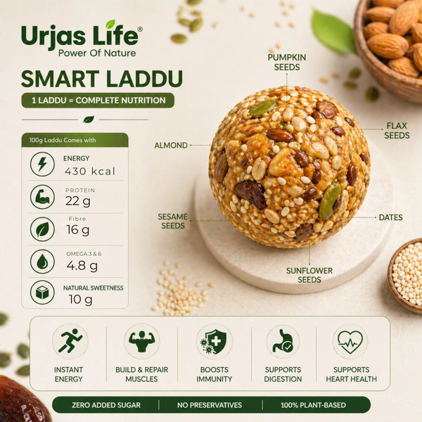 Healthy Plant Seeds High Protein Laddu | 2 Pieces | Nutritious Energy Snack | Urjas Life