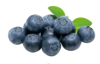 Blueberry 