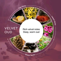 VELVET OUD PERFUME BY NEXT