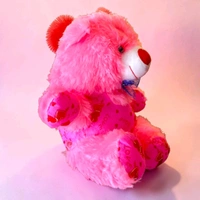 Raja Teddy No.1 - Pink