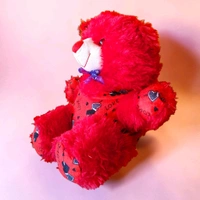 Raja Teddy No.1 - Red