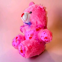 Raja Teddy No.1 - Pink
