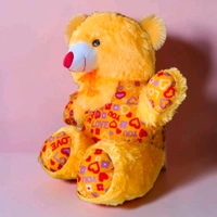 Raja teddy No.2