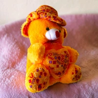 Cap Teddy.