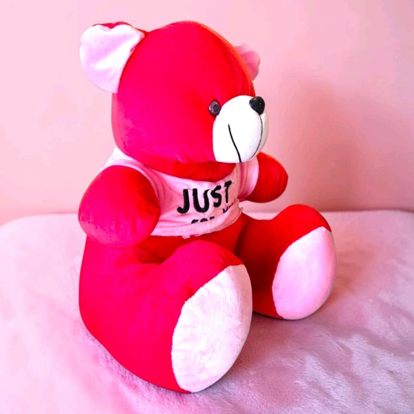 Red Teddy With Wearing T-shirt.