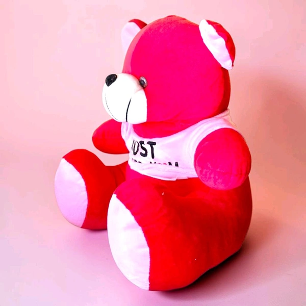 Red Teddy With Wearing T-shirt.