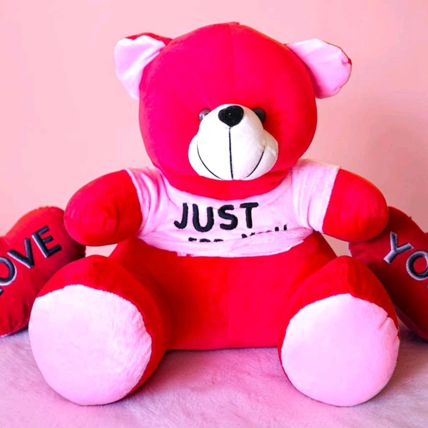 Red Teddy With Wearing T-shirt.