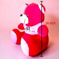 Red Teddy With Wearing T-shirt.