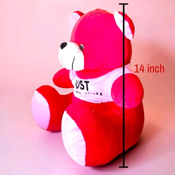 Red Teddy With Wearing T-shirt.