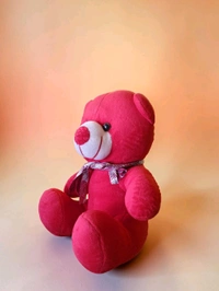 Red Teddy With Muffler.