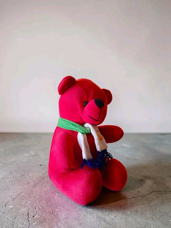 Red Teddy Bear With Muffler.