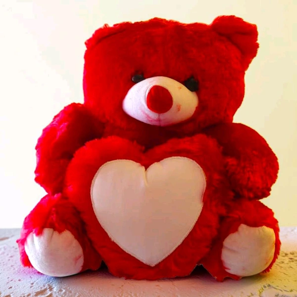 Teddy With The Photo Heart.