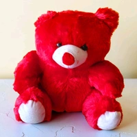 Teddy With The Photo Heart.