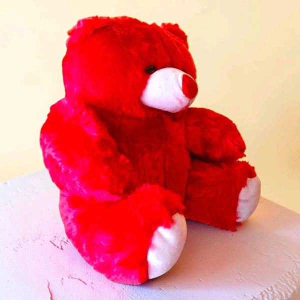 Teddy With The Photo Heart.