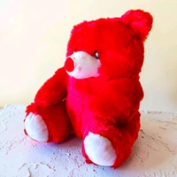 Teddy With The Photo Heart.
