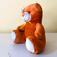 Brown Bear Teddy.With Bow