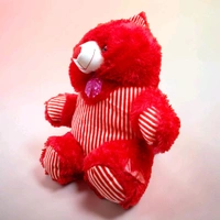 Dress Teddy.