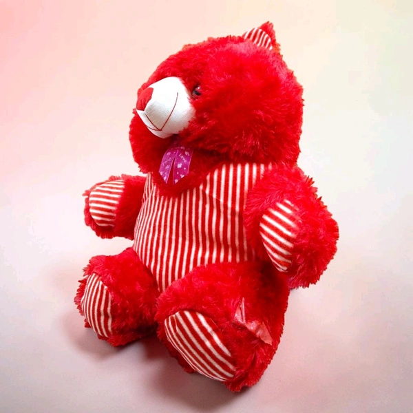 Dress Teddy.
