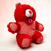 Dress Teddy.