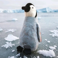 Penguin Soft Toy.