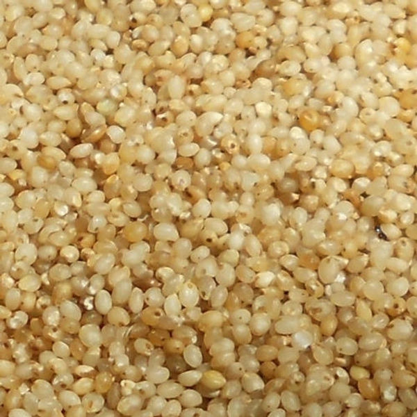 Barnyard Millets - ఊదలు