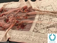 Lucknowi Heavy Chikankari On Printed Saree With Blouse - Gray