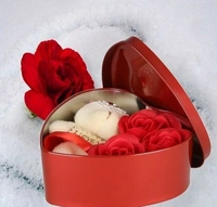 Roses and TeddyBear with Heart Shape Beautiful Box perfect Valentin Gift for His/Her ,Kids, Parents For Everyone - Red Pink