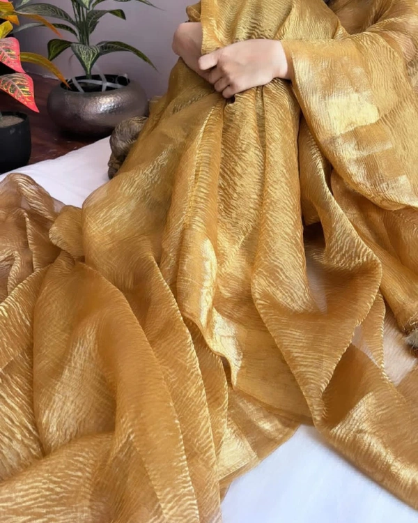 Hand Woven BANARSI Gold Crush TISSUE Silk Saree