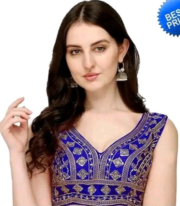Deep V Cut Neck Slevlees  Embrodery  Readymade Padded  Blouse For Women - Blue